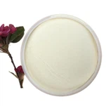 Superplastifiant policarboxilat pentru mortar uscat